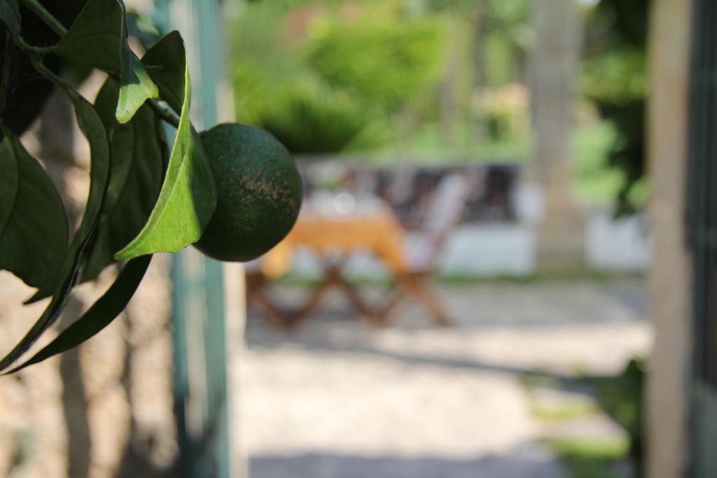 Bed and Breakfast Parco Degli Aranci Cutrofiano Zewnętrze zdjęcie